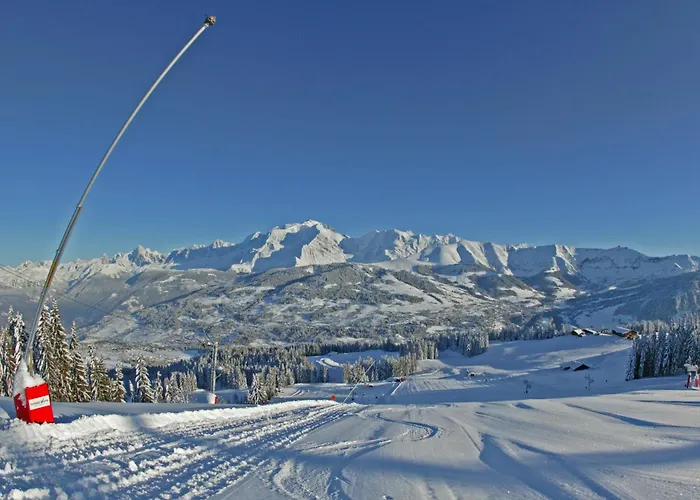 Hotel Le Caprice Des Neiges Combloux