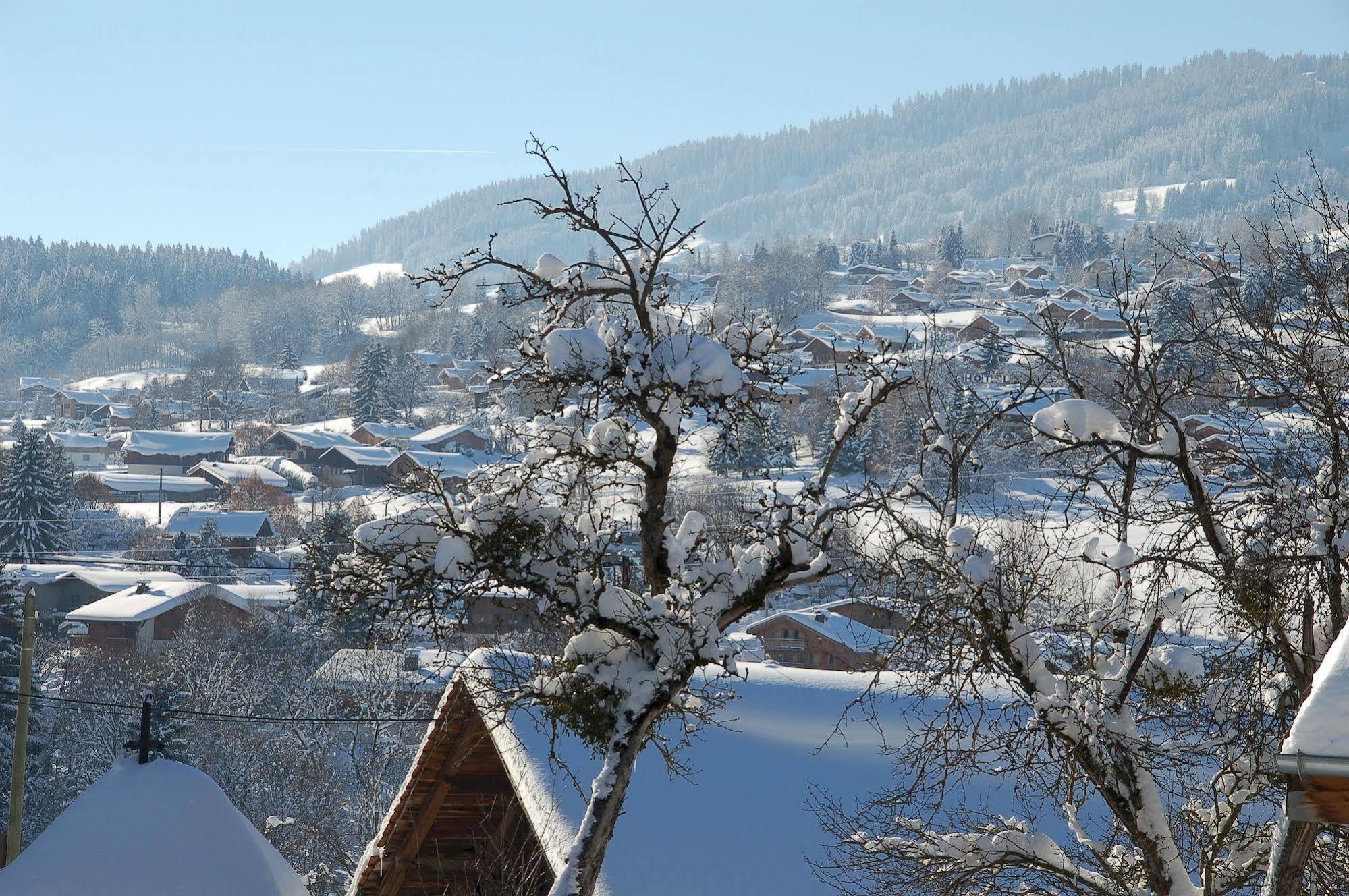 Le Caprice Des Neiges Hotel Combloux