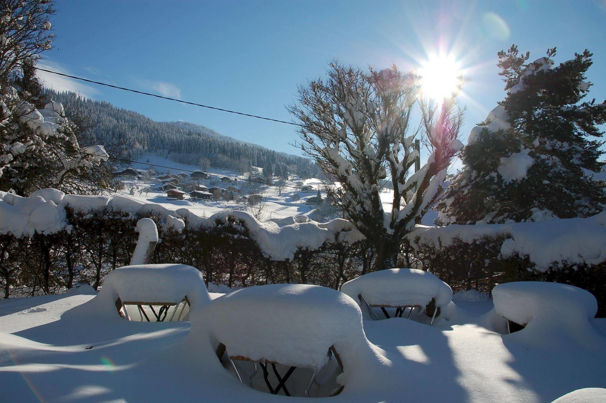 Le Caprice Des Neiges 2* Combloux