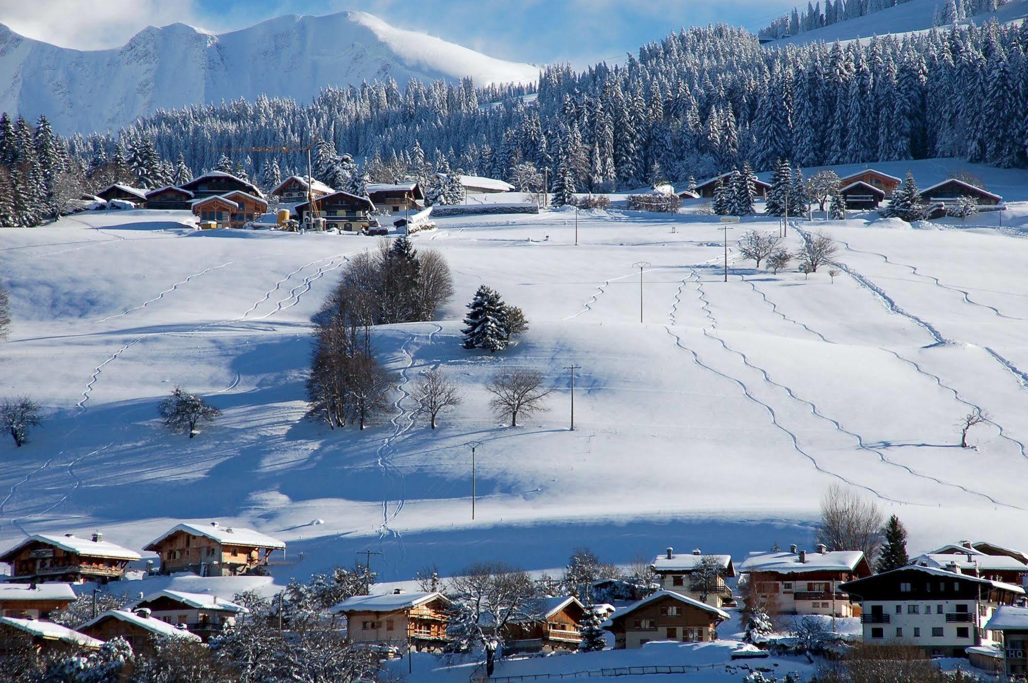 Le Caprice Des Neiges Hotel 2*